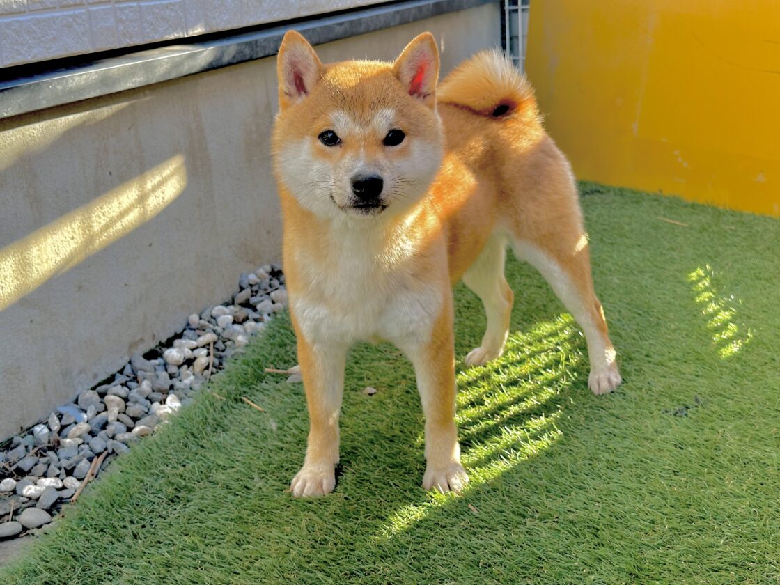 UFUKU